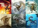 dragon elements
