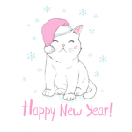 Kawaii kitty:3