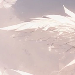 ┉═꒰ঌ•˚.ღ.˚•૮꒱═┉ ✦═┉✦═┉✦═┉═✦ icon
