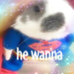 ⭑･ﾟﾟ･*:༅