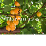 Fruit trees island!