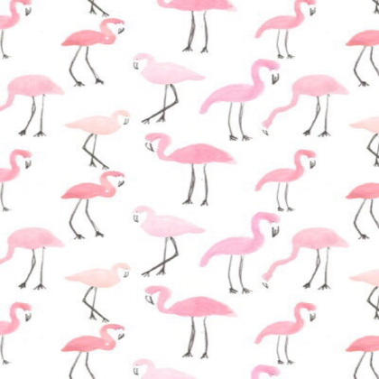 flamingo wallpaper Roblox decal
