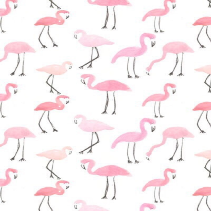 flamingo wallpaper Roblox decal