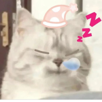 bobux poo