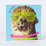 The Party Animalz