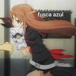 grupo zi ka