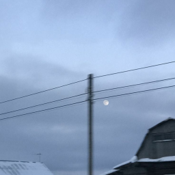 ツ