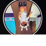 Robloxian Girlz Group