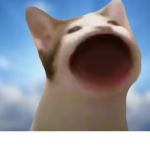 [BEST]useless memes