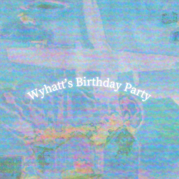 wyhatts birthday party