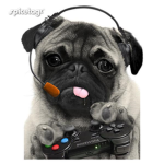 The PugHugPlayz Fan Group