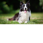 Uriel club :D