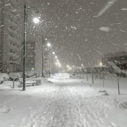 ★❄️☃️⛸️★