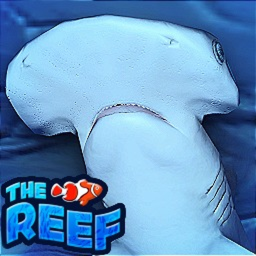 Before game thumbnail