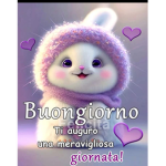 Amicizia & Divertimento