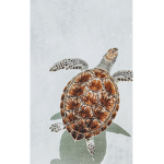 Turtle and Dancers