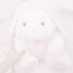 Mich army (Pink army)