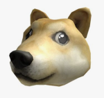 Doge's Kitchen