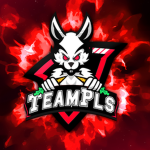 TeamPls Community