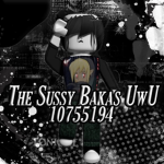 The Sussy Bakas UwU