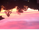 the sun set tribe