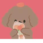 Love for dogs studio