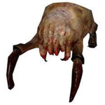Headcrab Nation
