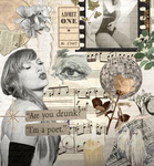 TAYLORS BUTTERFLIES