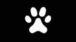paws bro?