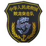 江西蛟龙突击队