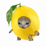 little inyas
