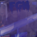 FGN Group