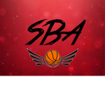 Shiny Basketball Association