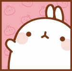 Kawaii fan group.