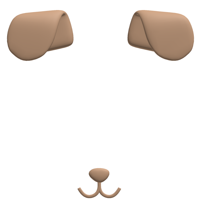 Brown Dog Ear Filter