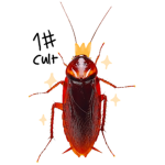 Cockroach cult