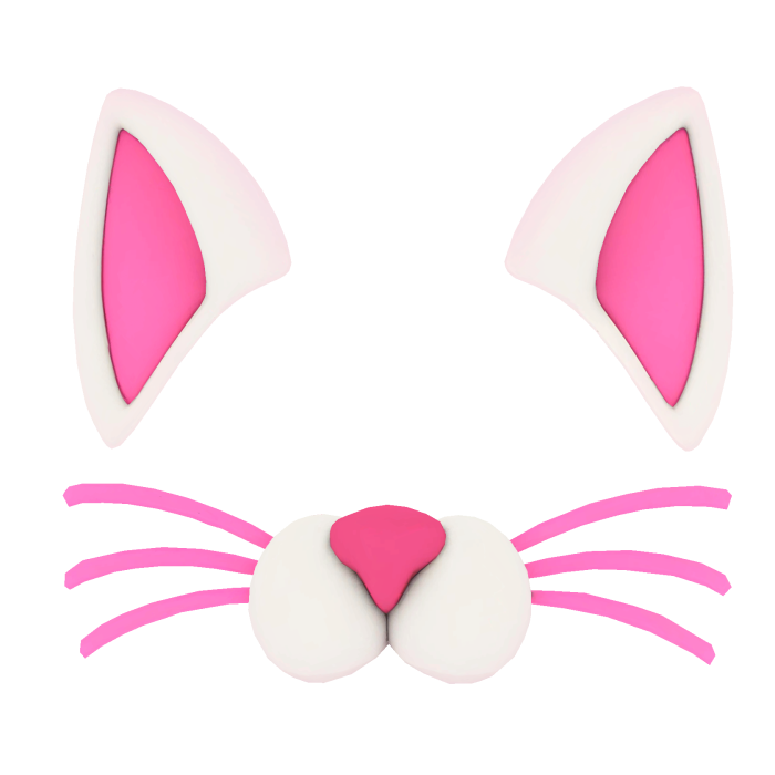 cat filter
