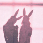 Playbxoy Bunnies