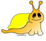 Lemondrop group