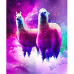 llama Squad >:3