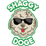 Shaggy Doge Dev