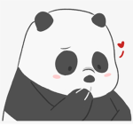 PandaClothing TM