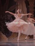Étoile Royale Conservatory
