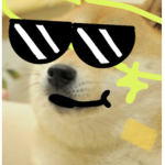 Doge fanclub dog