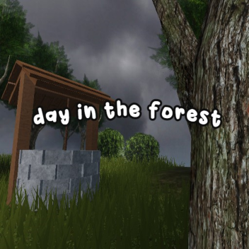 day in the forest