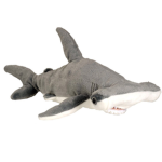 Sharky's group