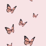 --Butterfly Squad--