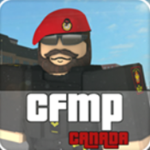 Canadian, Forces Military Police