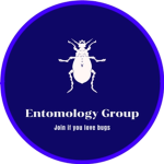 Entomology Group