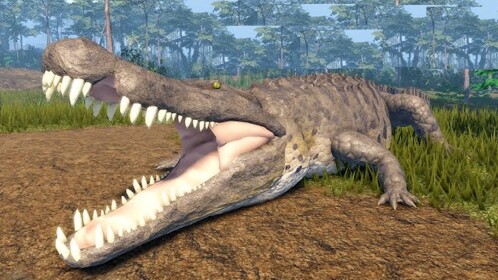 Grow Crocodiles 🐊